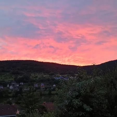 Travel Sleep & L Ruhige Uebernachtung Mit Main-blick Und Garten L Und Gaestezimmer Апартаменты