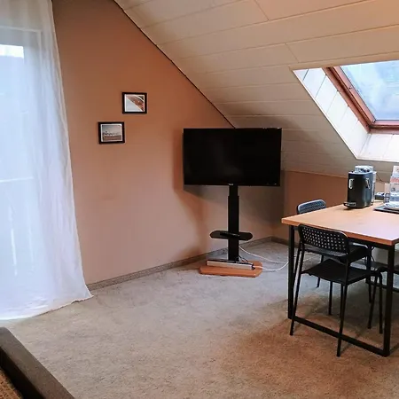 Travel Sleep & L Ruhige Uebernachtung Mit Main-blick Und Garten L Und Gaestezimmer Neustadt am Main