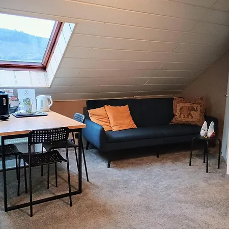 Travel Sleep & L Ruhige Uebernachtung Mit Main-blick Und Garten L Und Gaestezimmer Апартаменты *