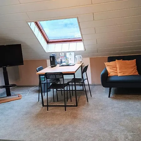 Travel Sleep & L Ruhige Uebernachtung Mit Main-blick Und Garten L Und Gaestezimmer Апартаменты