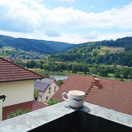Apartment Travel Sleep & L Ruhige Uebernachtung Mit Main-blick Und Garten L Und Gaestezimmer
