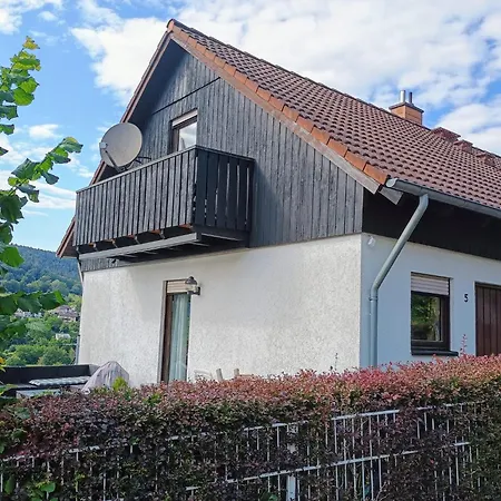 Travel Sleep & L Ruhige Uebernachtung Mit Main-blick Und Garten L Und Gaestezimmer * Neustadt am Main