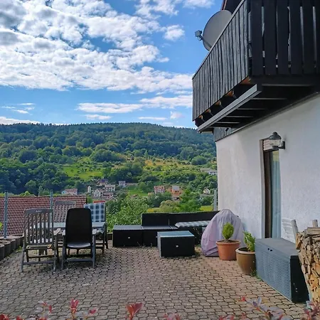 Lägenhet Travel Sleep & L Ruhige Uebernachtung Mit Main-blick Und Garten L Und Gaestezimmer