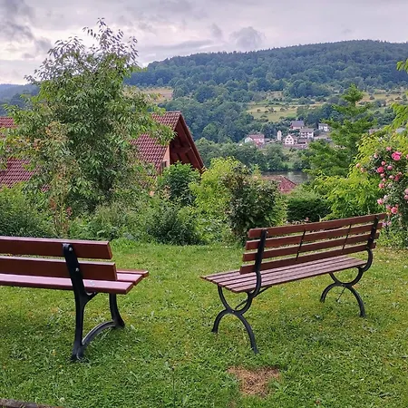 Travel Sleep & L Ruhige Uebernachtung Mit Main-blick Und Garten L Und Gaestezimmer Daire Neustadt am Main