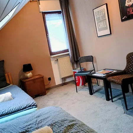 Lejlighed Travel Sleep & L Ruhige Uebernachtung Mit Main-blick Und Garten L Und Gaestezimmer