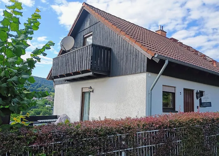 Travel Sleep & L Ruhige Uebernachtung Mit Main-blick Und Garten L Und Gaestezimmer * Neustadt am Main