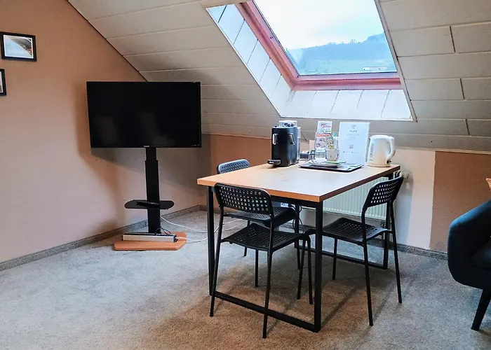 Travel Sleep & L Ruhige Uebernachtung Mit Main-blick Und Garten L Und Gaestezimmer * Neustadt am Main