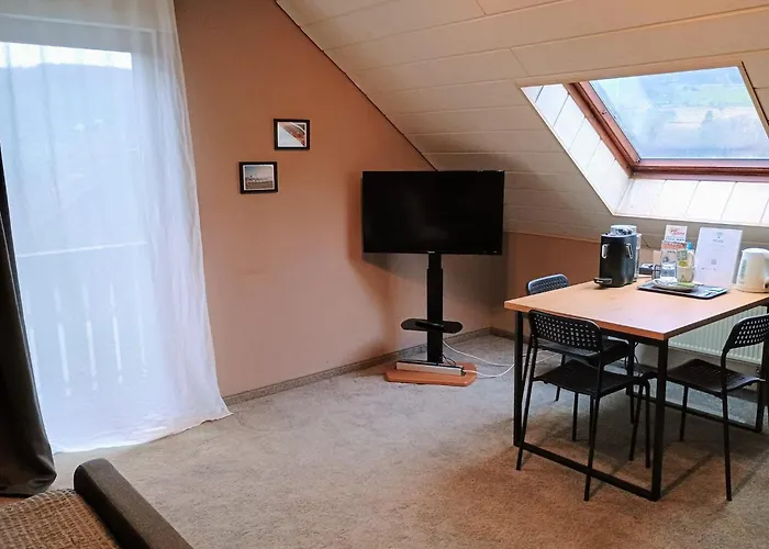 Travel Sleep & L Ruhige Uebernachtung Mit Main-blick Und Garten L Und Gaestezimmer Neustadt am Main