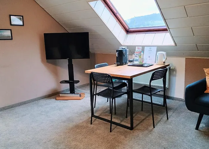 Apartamento Travel Sleep & L Ruhige Uebernachtung Mit Main-blick Und Garten L Und Gaestezimmer *